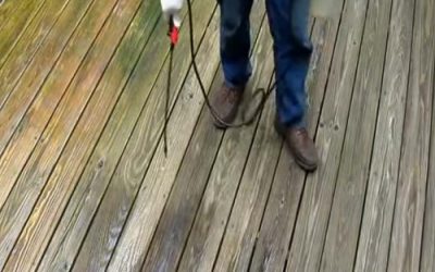 Pressure Washing vs. Power Washing: Understanding the Differences and Choosing the Right Service