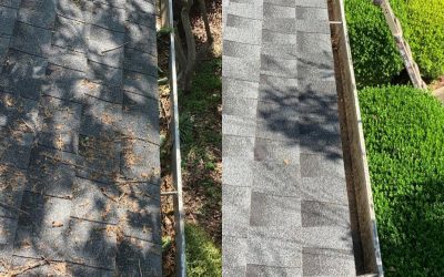 Blogs 2 Master the Art of Gutter Cleaning with Waterworks Pressure Cleaning in Atlanta, GA