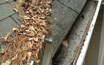 What Can Clogged Gutters Do to Your Home?