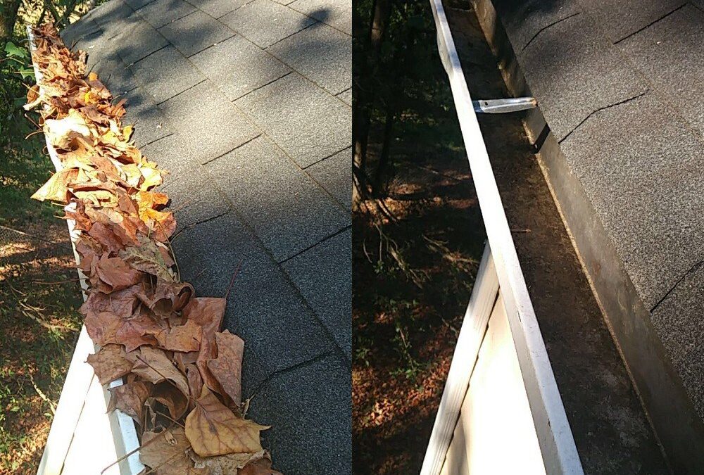 Why Are My Gutters Overflowing? Top Causes & How to Fix It